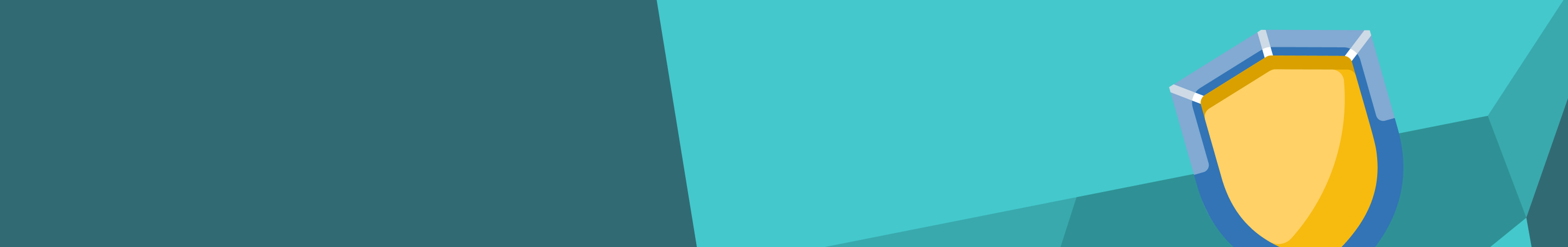 Privacy Policy Banner